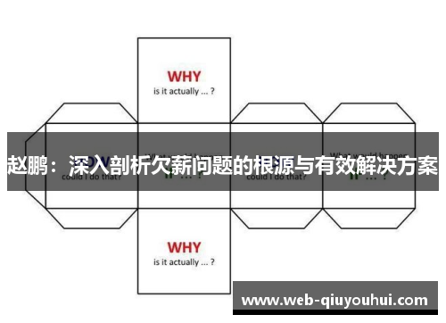 赵鹏：深入剖析欠薪问题的根源与有效解决方案